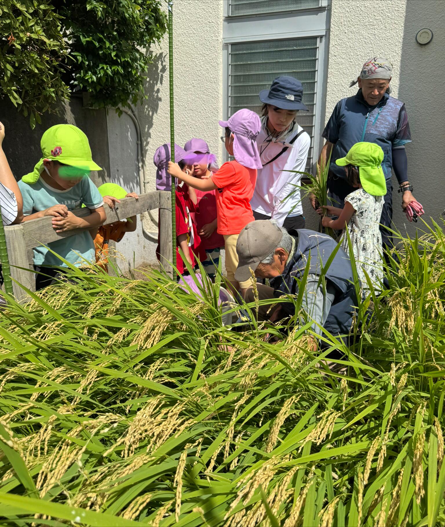 9月の園だより